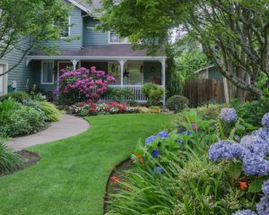 Landscaping Services 300x240 1